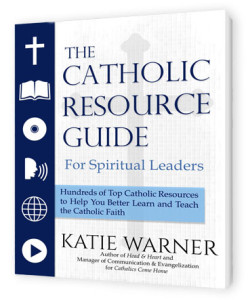 Catholic_Resource_Guide_cover_3D